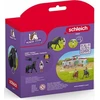 SCHLEICH HORSE CLUB Tori ir Princesė