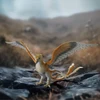 Figūrėlė Piorunojad Wizarding World Schleich