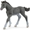 SCHLEICH „Arklių klubas“ figūrėlė - Trakėnų veislės kumeliukas