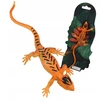 Swede Chameleonas keičiantis spalvą Q13024 19605