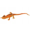 Swede Chameleonas keičiantis spalvą Q13024 19605