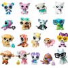 Figūrėlė Tm Toys Littlest Pet Shop Seria 5 - Figūrėlė niespodzianka w blisterze 1 vnt.