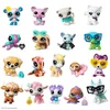 Hasbro Figūrėlė Tm Toys TMT LPS figurka G7 S5 blind box mix LPS00718 07183