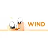 FiiO Snowsky Wind ausinės, juodos