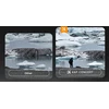 Filtras Kf Juodas Diffusion 1/4 Nano-x Insta360 Go Ultra kamerai / K&f Concept / Kf12.0012 (SB11898)