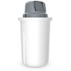 Vandens Filtras - Dafi Classic 1 vnt.