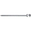 Fischer Medsraigčiai TORX 6,0x100, baltai cinkuoti, 100 vnt.
