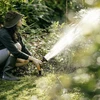 Fiskars FISKARS COMFORT Rinkinys STARTOWY DO PRECYZYJNEGO NAWADNIANIA
