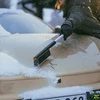 Fiskars SZCZOTKA I SKROBAK DO ODŚNIEŻANIA