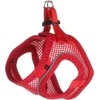 Flamingo Šuns petnešos STEP&GO BENTO raudonos 22-23/24-25CM