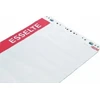 Konferencijų bloknotas ESSELTE, 590 x 830 mm, lygus, 50 lapų