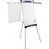 Magnetinis Nobo Flipchart Shark