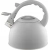 Florina Virdulys su gwizdkiem Gris 2,5 l pilka AMBITION