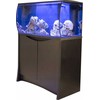 Fluval Flex Deluxe akvariumo spintelė 123 L, juoda