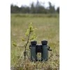 Focus Observer 8x50 HD žiūronai