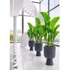 FORM PLASTIC Gėlių vazono forma plastikinė KELI MIKA 5120-014, plastikinė, antracito spalvos