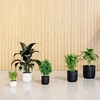 FORM PLASTIC Gėlių vazono forma plastikinė LUCA PETIT 5420-085, plastikinė, žalia