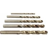 Forsage Metalinis grąžtas 6,5 mm HSS+Co 10 vnt, plastikinėje dėžutėje