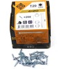 Forte_Tools Įrankiai FORTE TOOLS, 4×20 mm, ZN, TX20, 200 vnt.