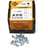 Forte_Tools Įrankiai FORTE TOOLS, 4,5×30 mm, ZN, TX20, 200 vnt.