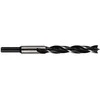 Forte_Tools Medienos grąžtas Forte Tools, 3x60 mm