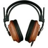 Fostex T60RP ausinės