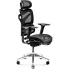 Ergonominė kėdė  DIABLO V-COMMANDER, Juodos spalvos