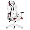 Diablo Chairs Diablo X-Ray 2.0 Normal Size Juodas-Baltas ergonominė kėdė