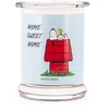 Peanuts Žemės riešutai Thekendisplay 12 x 250g