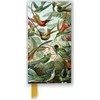 Bookshop Ernst Haeckel: Hummingbirds (Foiled Slimline Journal)