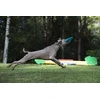 Waboba Jetwag dog frisbee