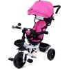 Vaikiškas triratukas Funfit Kids Twist Rose