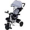 Vaikiškas triratukas Funfit Kids Twist
