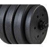 Funfit Hanteliai 4257 bituminiai 2 x 20 kg