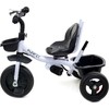 Funfit Triratis dviratukas vaikams kids twist universalus