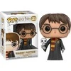 FUNKO POP! Vinilinė figūrėlė: Haris Poteris su pelėda