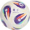 Futbolo kamuolys adidas Ekstraklasa Pro kolorowa JY1297 (5)