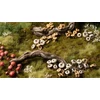 Gamers Grass „Basing Bits“ – miško grybai