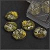 Gamers Grass Gamers Grass: Apvalūs pagrindai – „Highland“ 40 mm (5 vnt.)