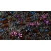 Gamers Grass Gamers Grass: Lazeriniai augalai - Alien Rosette - Space Rosette