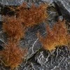 Gamers Grass : Specialūs kuokšteliai - 12 mm - Spikey Brown (Wild)