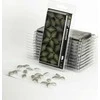 Gamers Grass : Lazeriniai augalai - Bracken - Papartis