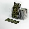 Gamers Grass : Lazeriniai augalai - Bracken - Papartis