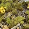 Gamers Grass : rinkinys – Highland Tuft (laukinis)