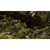 Gamers Grass Gamers Grass: Lazeriniai augalai - Lordai ir ponios - Stebimi vaizdai