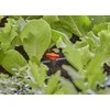 Gardena 13217-20 (3/16")