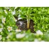 Laistymo įranga Gardena Micro Drip System 970619201, juoda