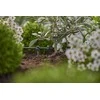 Antgalis Gardena Micro Drip System