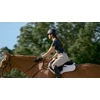 Garmin Blaze Equine wellness system
