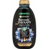 Garnier Botanic Therapy aktyvuotos anglies ir juodųjų kmynų aliejus, 400 ml